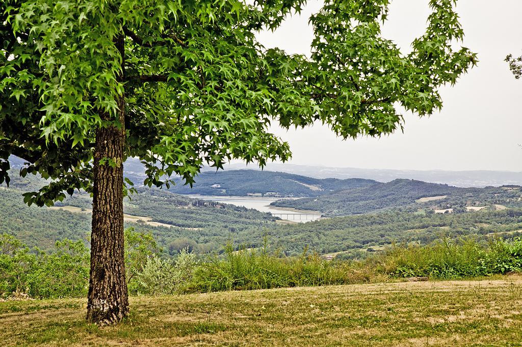 Agriturismo Terra Di Michelangelo Caprese Michelangelo Esterno foto